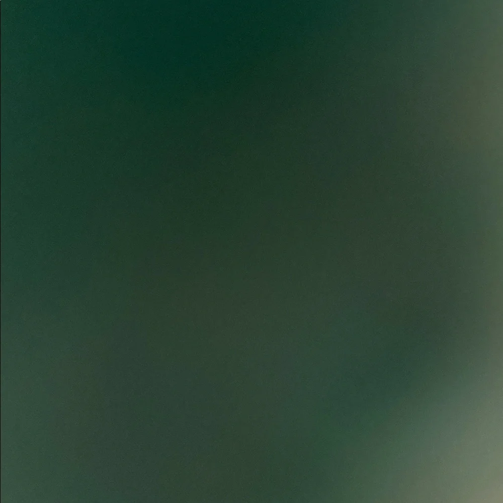 🌷 Green Sleeveless V Neck Top - Picture 6 of 8